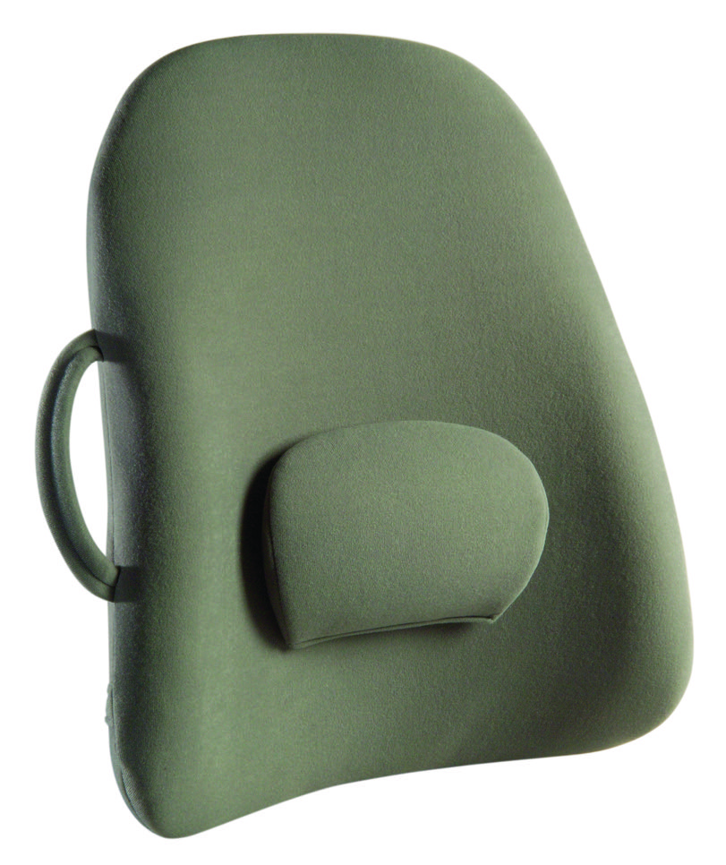 Lowback Backrest Support (Black) (LB-BLK-CA)