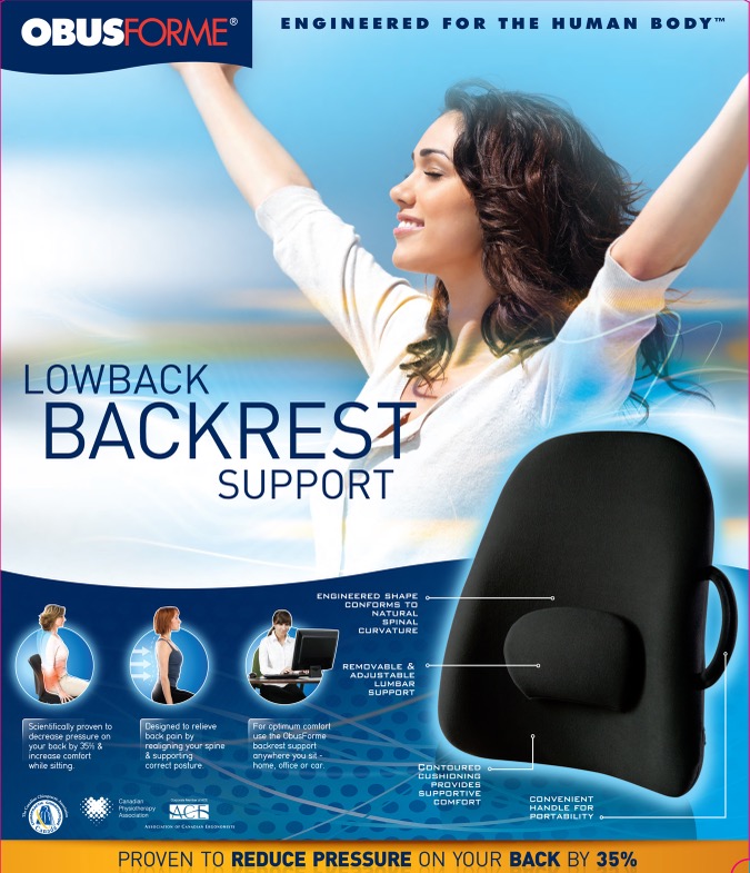 Lowback Backrest Support (Black) (LB-BLK-CA)